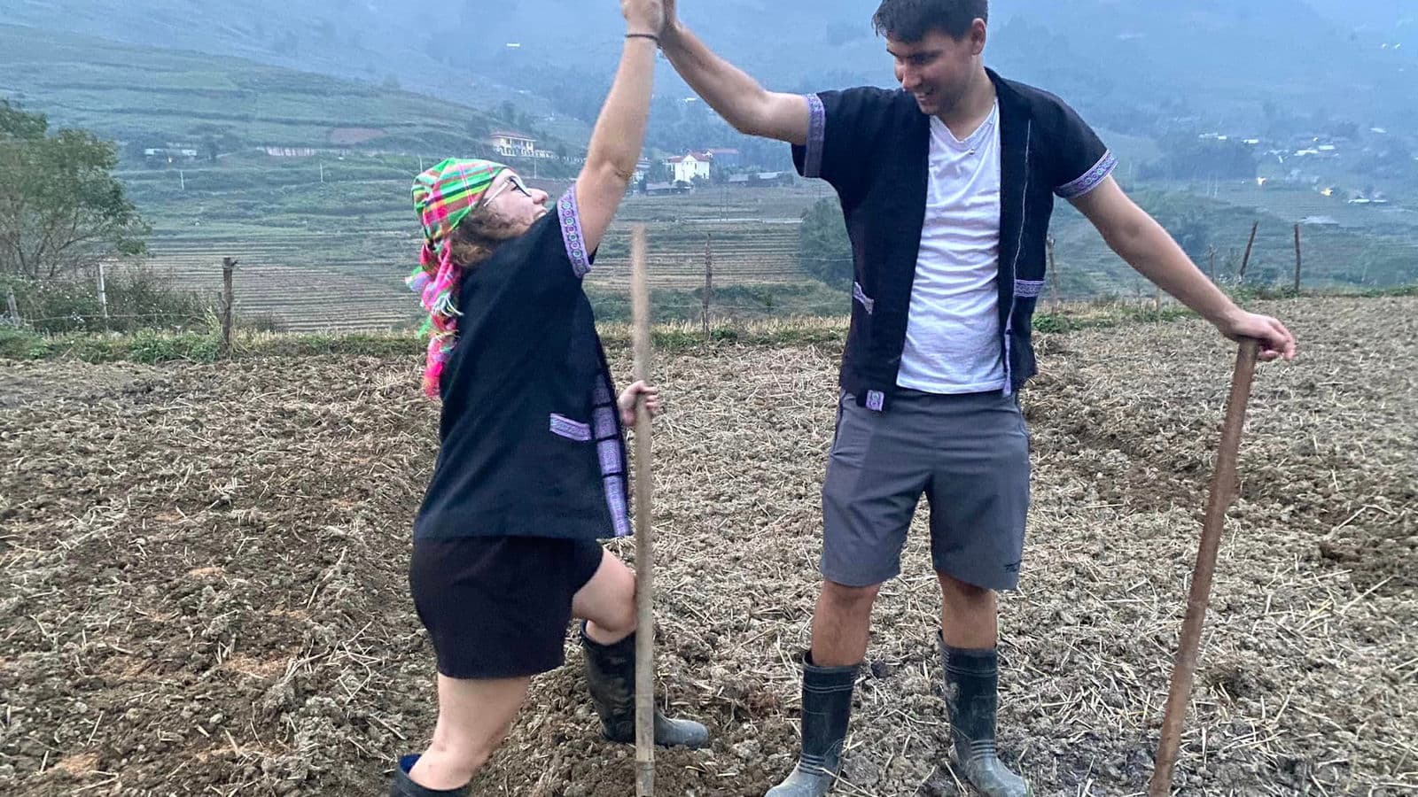 Sapa